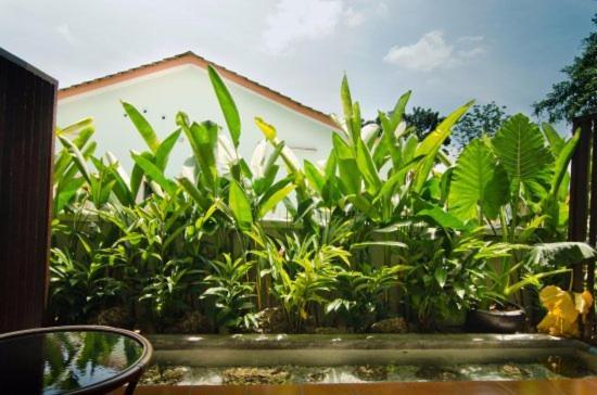 Mydream Guest House Ipoh Bagian luar foto